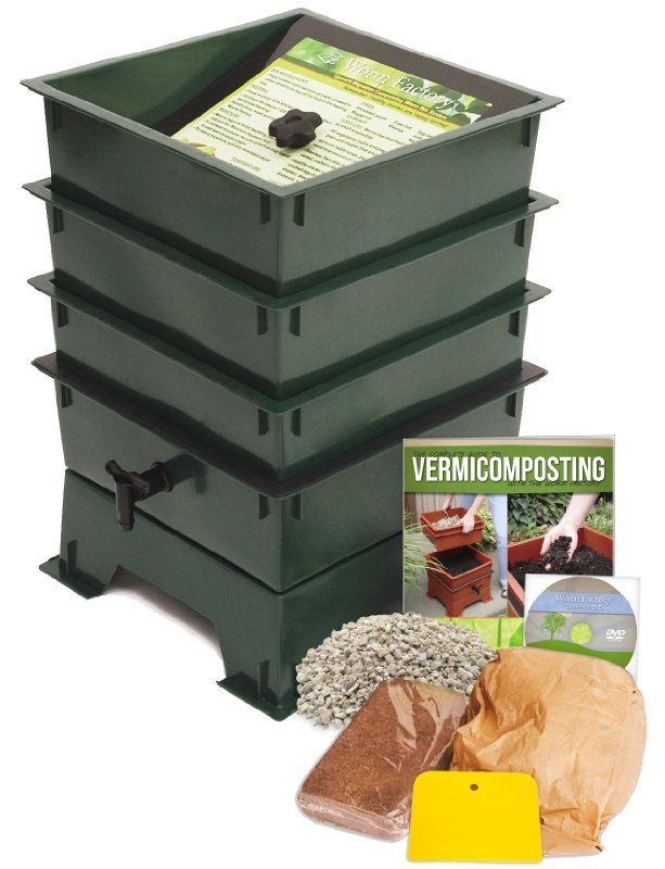 worm-compost-at-home